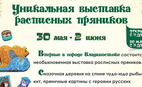 Во Владивостоке состоится необыкновенная выставка пряников
