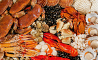 Исследователи выяснили, какие морепродукты едят в ресторанах Владивостока